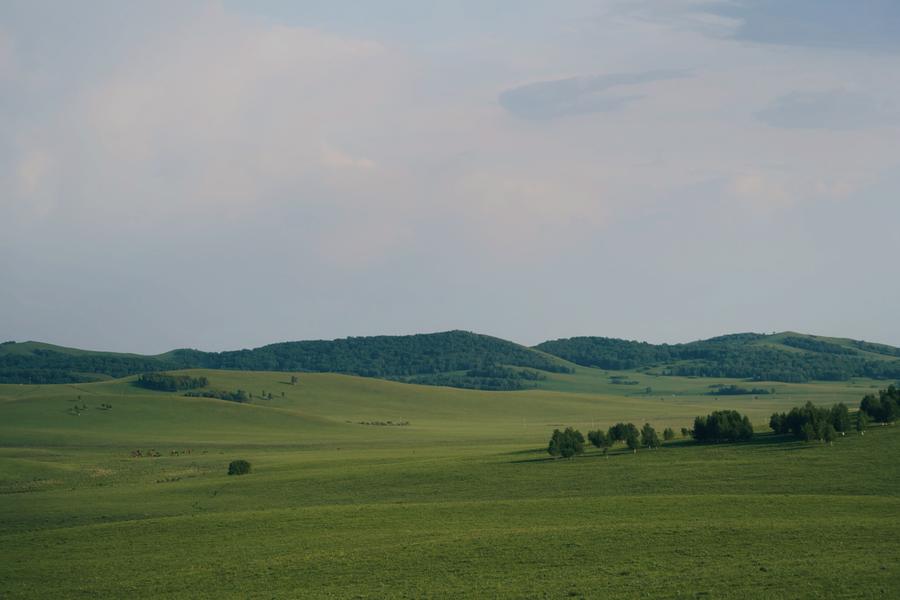 DSC08579_polarr.jpg