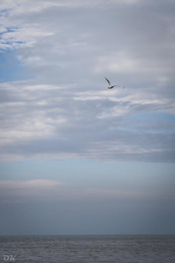 IMG_2404-6.jpg