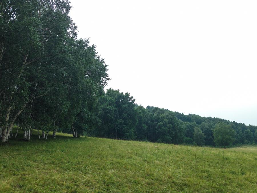 2014-4.jpg