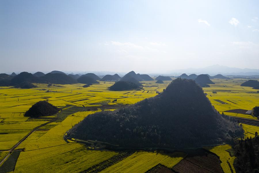 DJI_0436.jpg