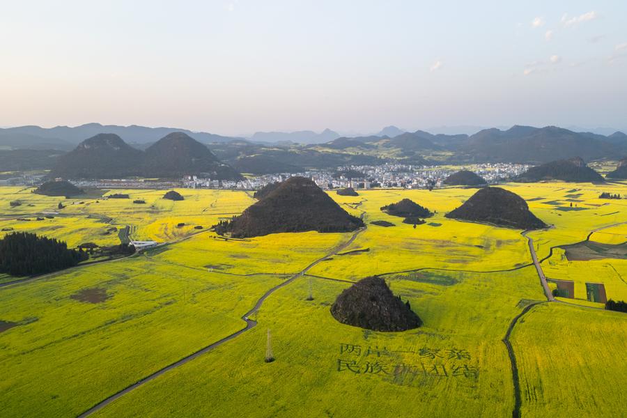 DJI_0450.jpg