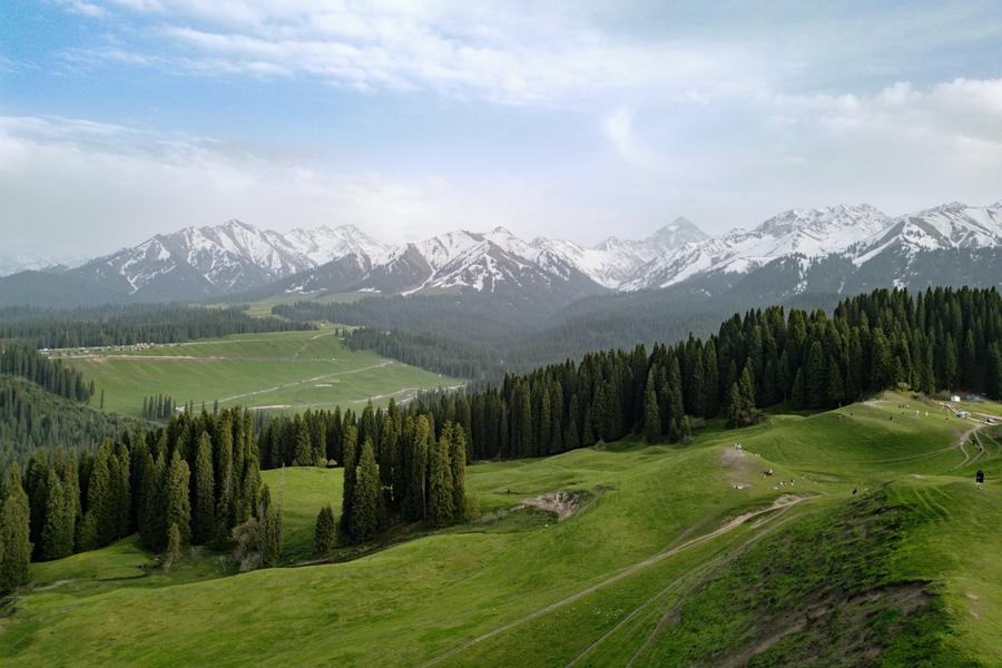 DJI_0654.jpg