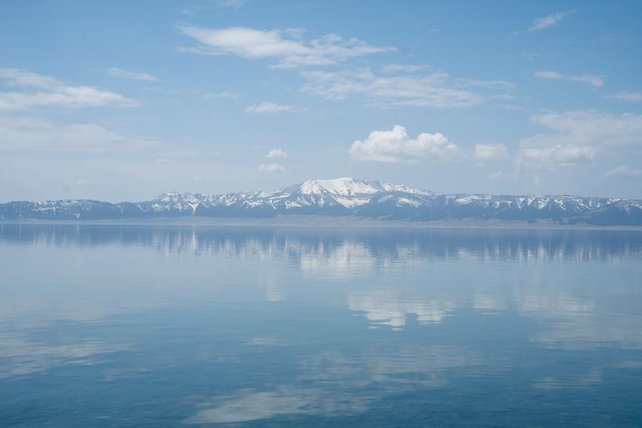 DSC02895.jpg